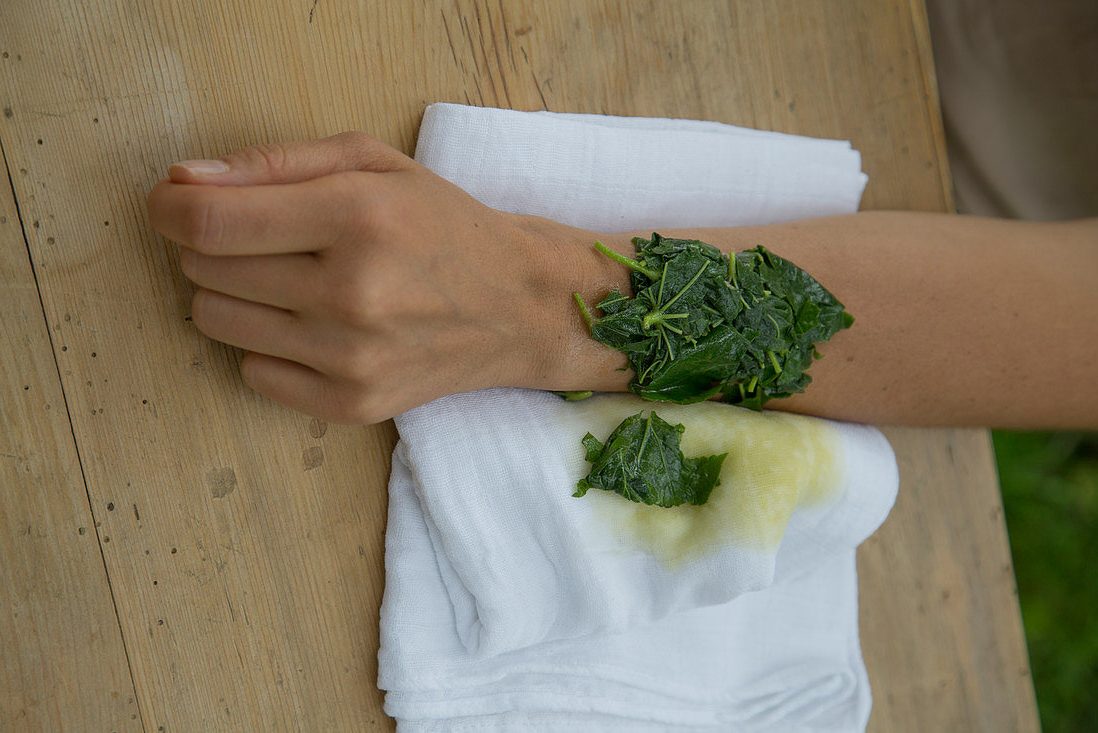 how to make an herbal poultice