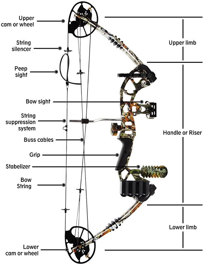 choosing a compound bow