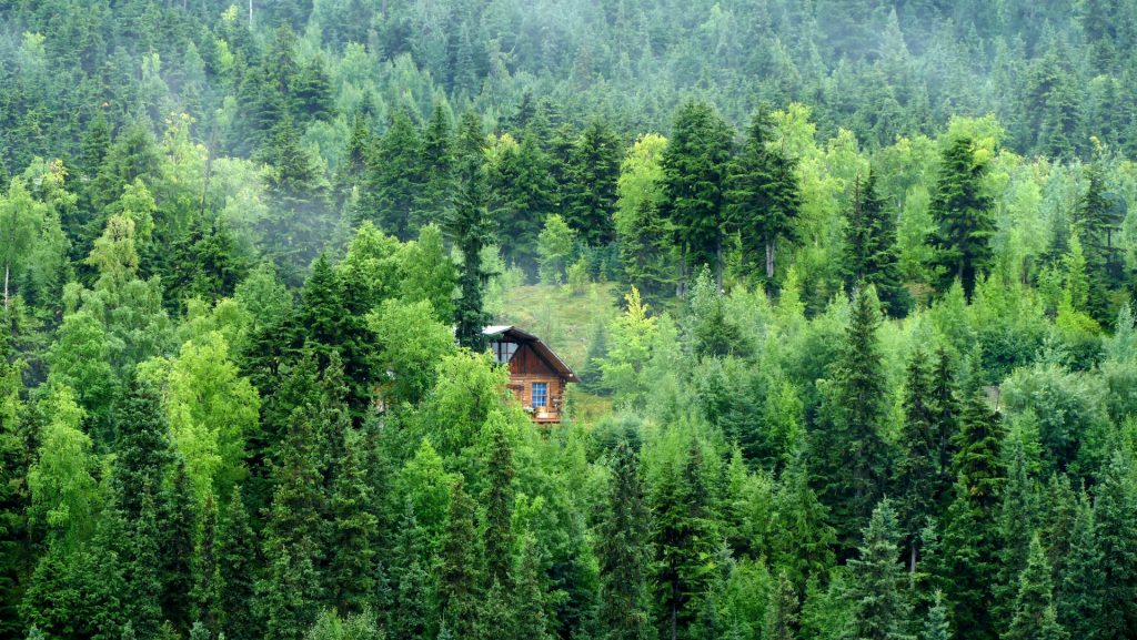 alaska cabin