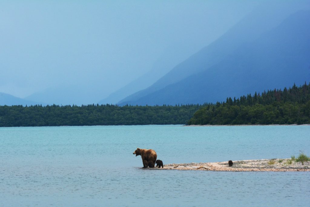 water living off grid in alaska