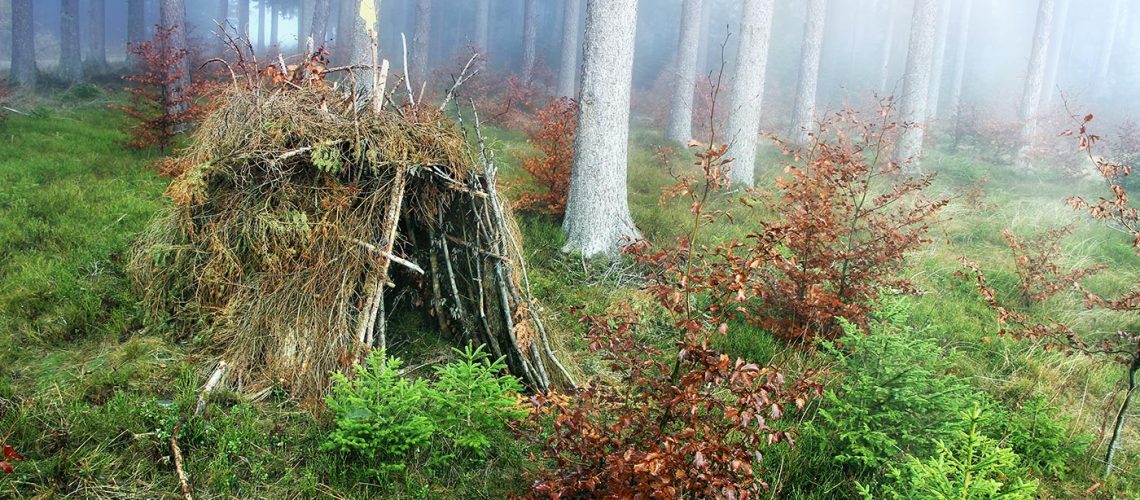 finding-shelter-in-wild