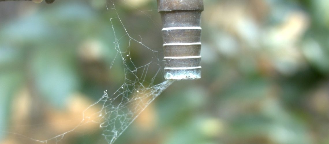 is it legal to live in a house without water