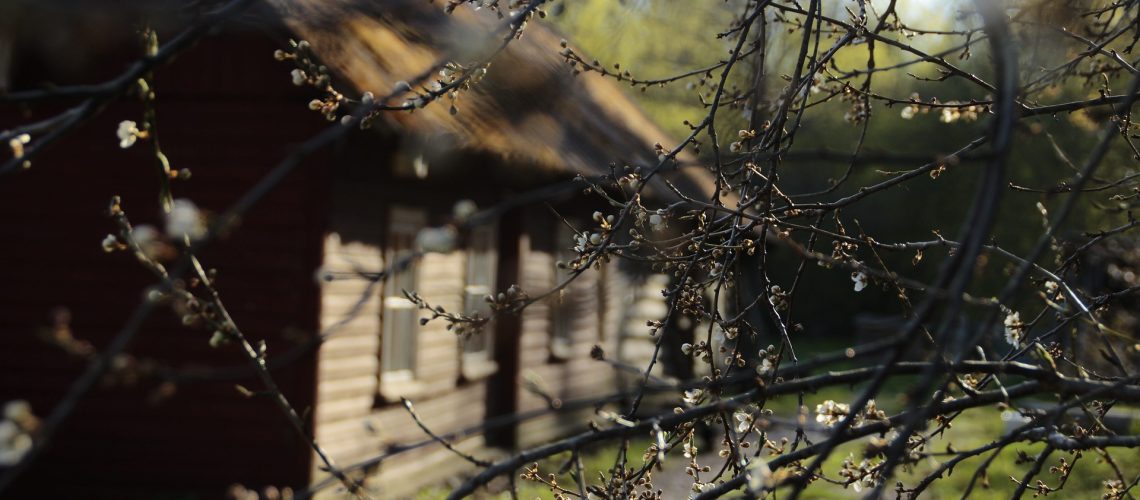 living off grid in tennessee